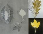 Monoprints met herfstblad